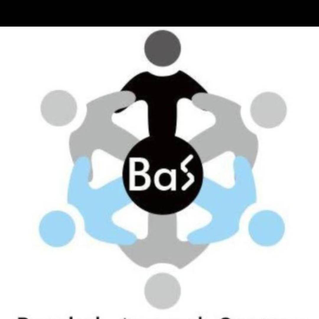 Ari BAS Logo